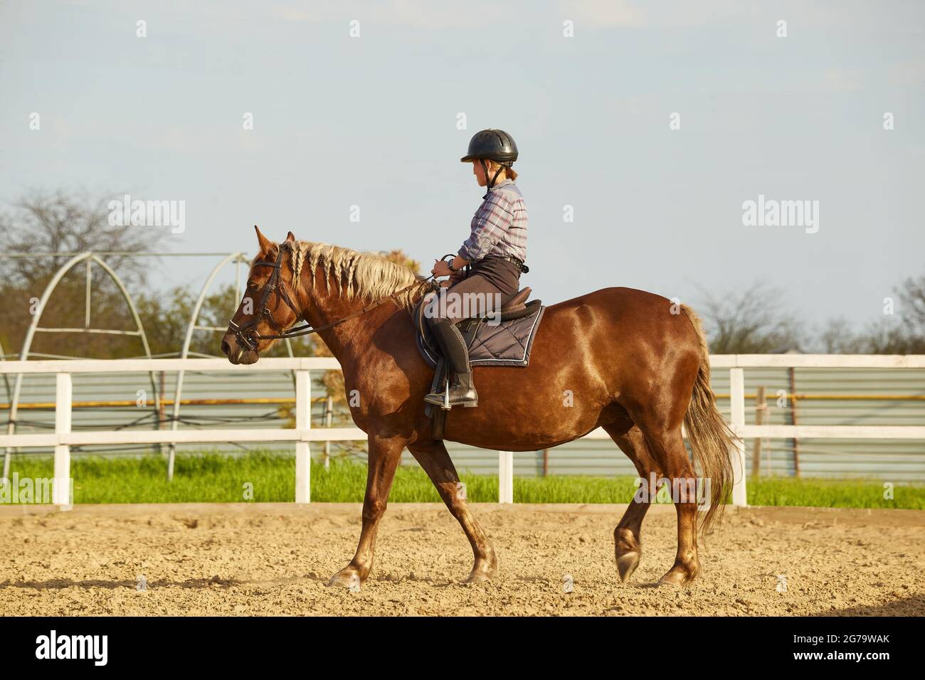 La giovane ragazza cavalca un cavallo con una manna leggera Foto Stock