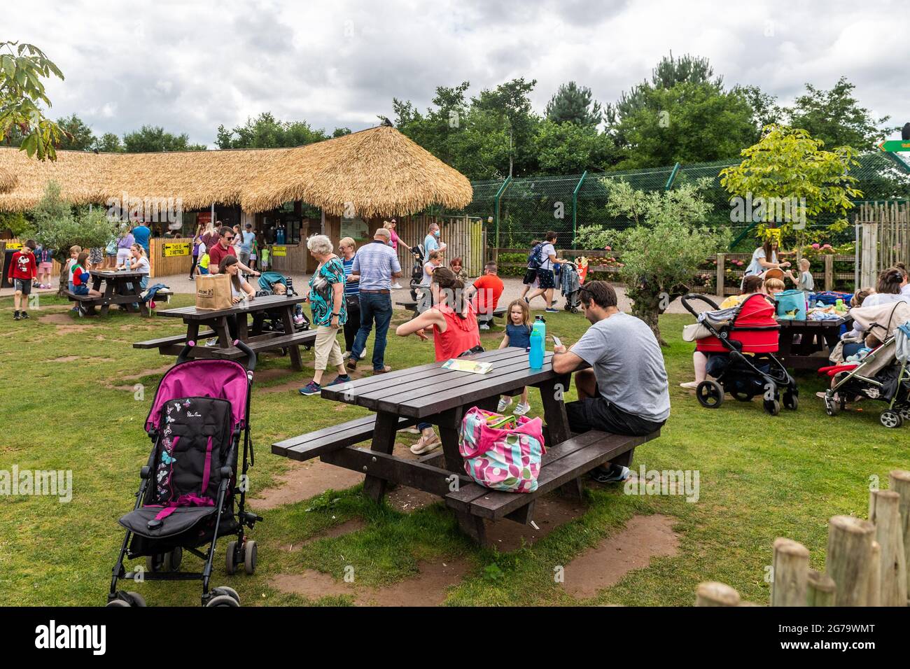 Cobh, Co. Cork, Irlanda. 12 luglio 2021. Il FOTA Wildlife Park è stato pieno di visitatori oggi. Migliaia di visitatori hanno partecipato a quella che è stata una giornata calda ma overcast. Credit: AG News/Alamy Live News Foto Stock