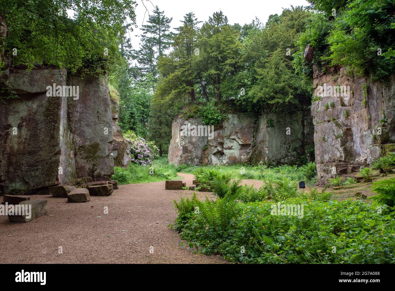 Belsay Hall Cave Garden Foto Stock