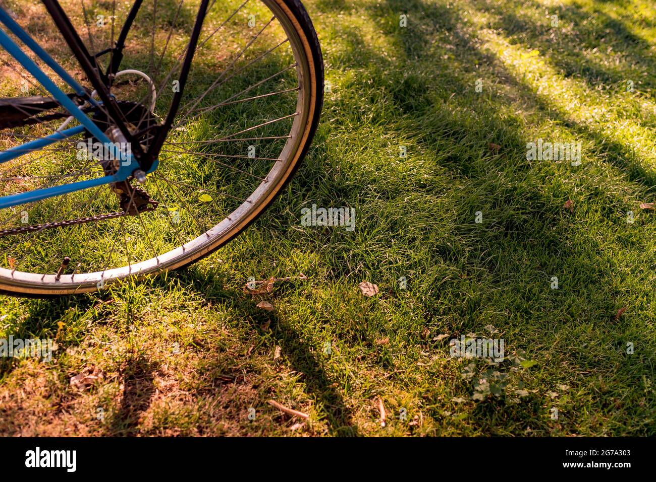 Bicicletta in erba. Spazio di copia Foto Stock