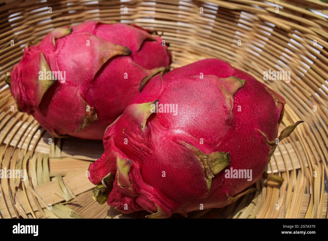 Deliziosa frutta tropicale esotica chiamata Pitaya o Draagonfruit in cesto di vimini. Con sfondo naturale all'aperto. Foto Stock