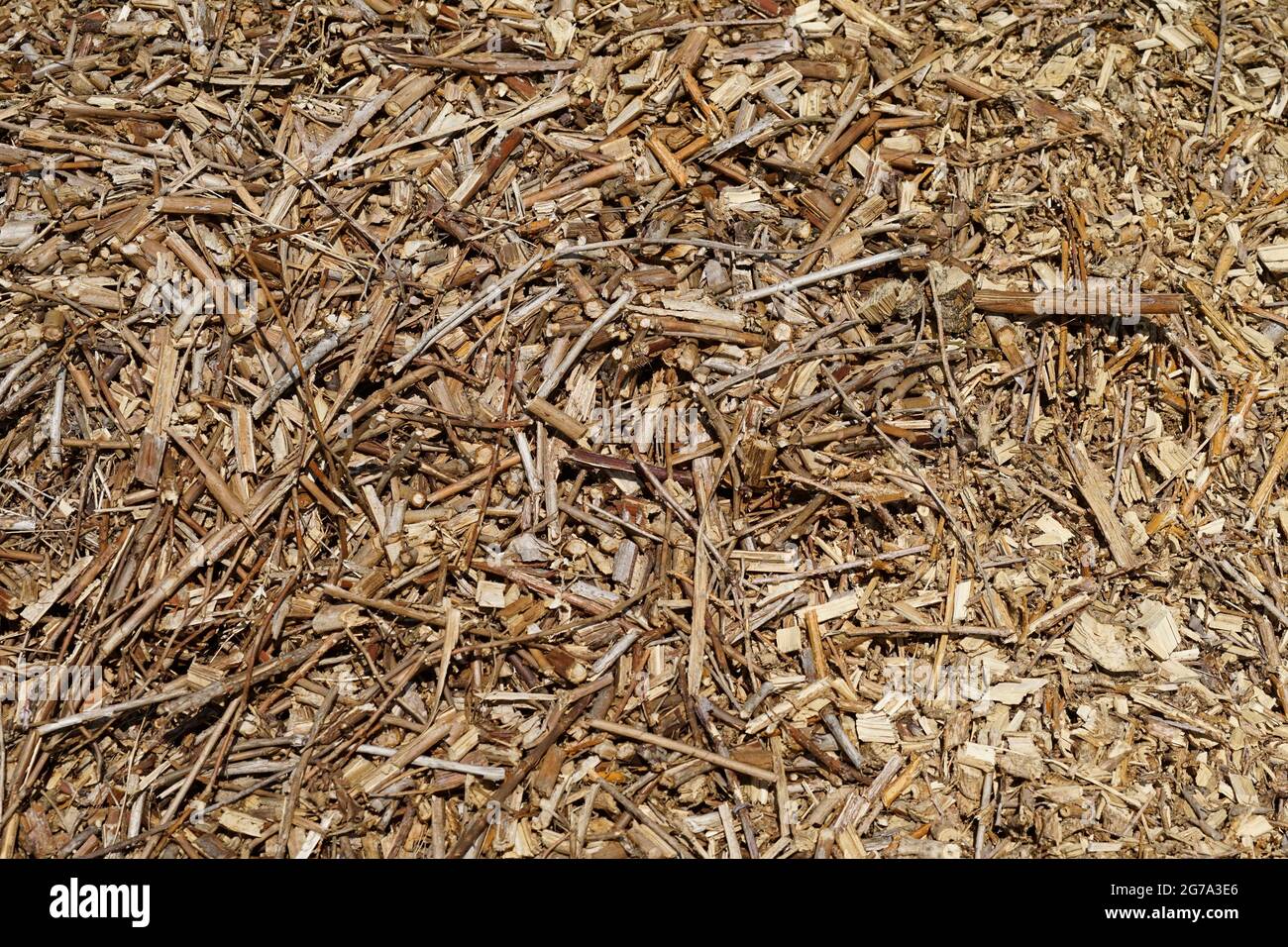 Riscaldamento, riscaldamento di trucioli di legno, Cippato, legno, Cippato, primo piano Foto Stock