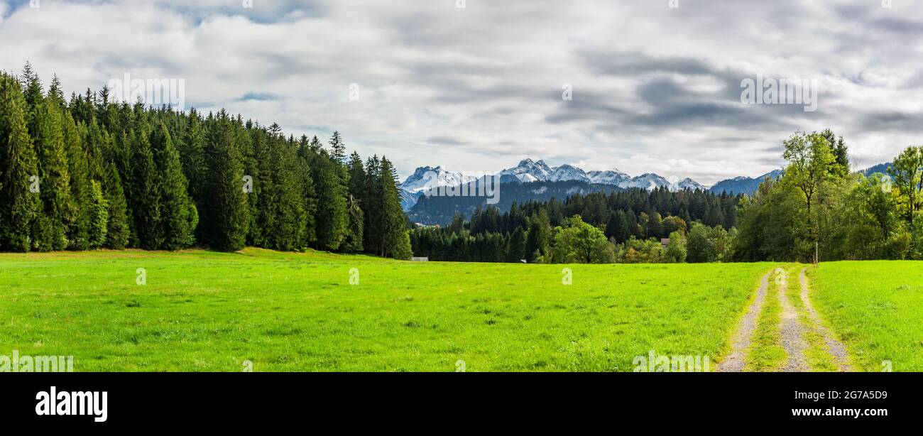 Verde prato paesaggio con foresta Foto Stock