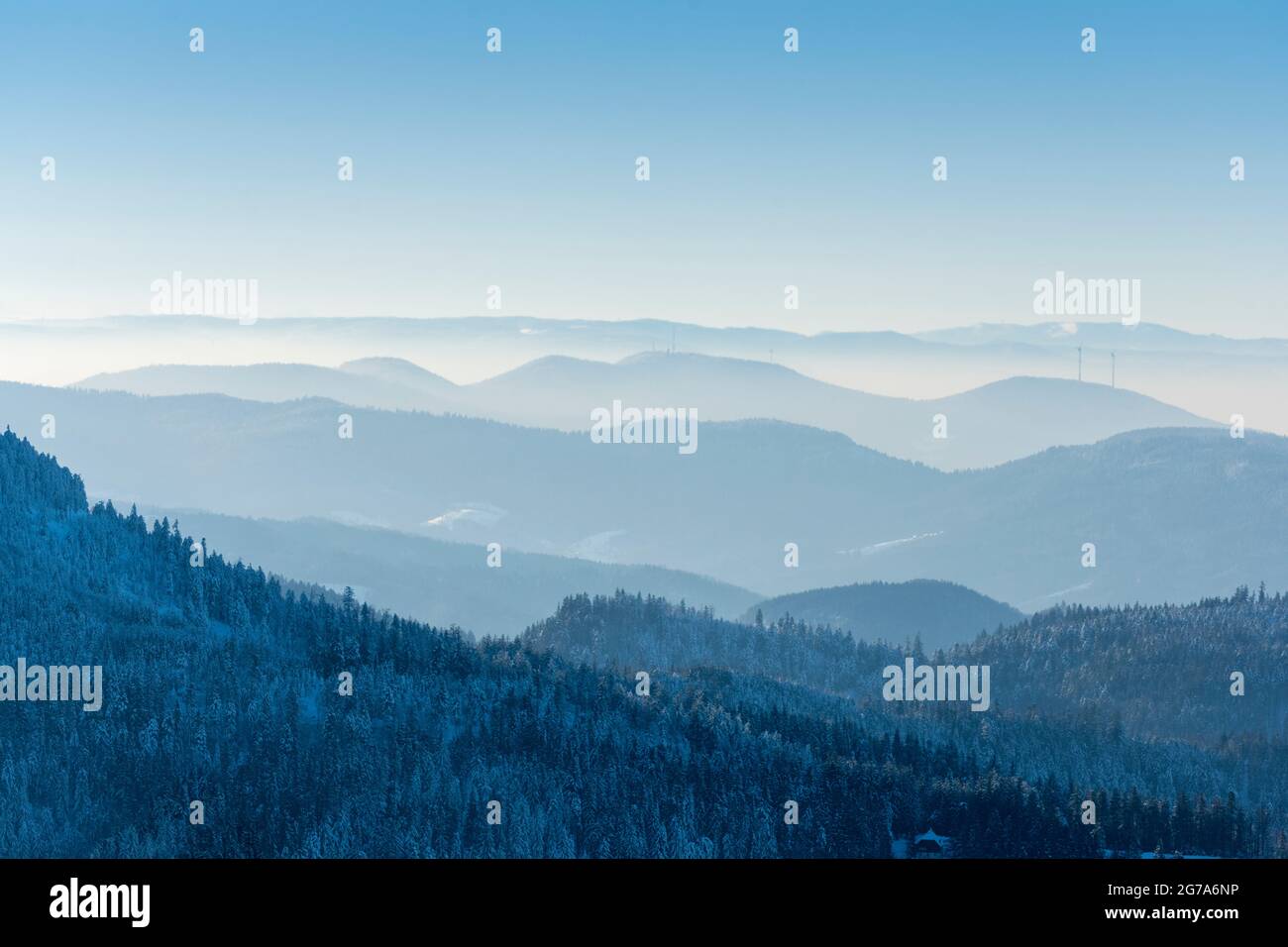 Germania, Baden-Wuerttemberg, Foresta Nera, Hornisgrinde, guardando a sud. Foto Stock