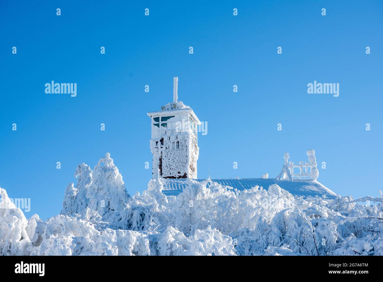 Germania, Baden-Wuerttemberg, Foresta Nera, Hornisgrinde, fiaba invernale con la torre Hornisgrinde. Foto Stock