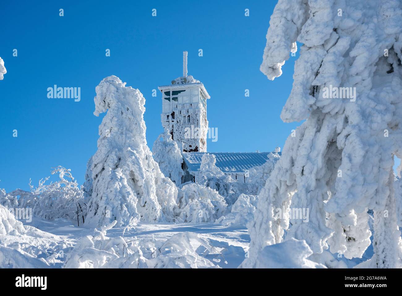 Germania, Baden-Wuerttemberg, Foresta Nera, Hornisgrinde, fiaba invernale con la torre Hornisgrinde. Foto Stock