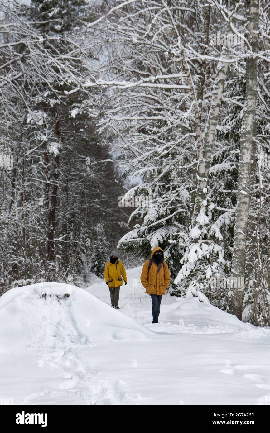 Due persone in camici gialli camminano nel paesaggio innevato invernale della natura. Foto Stock