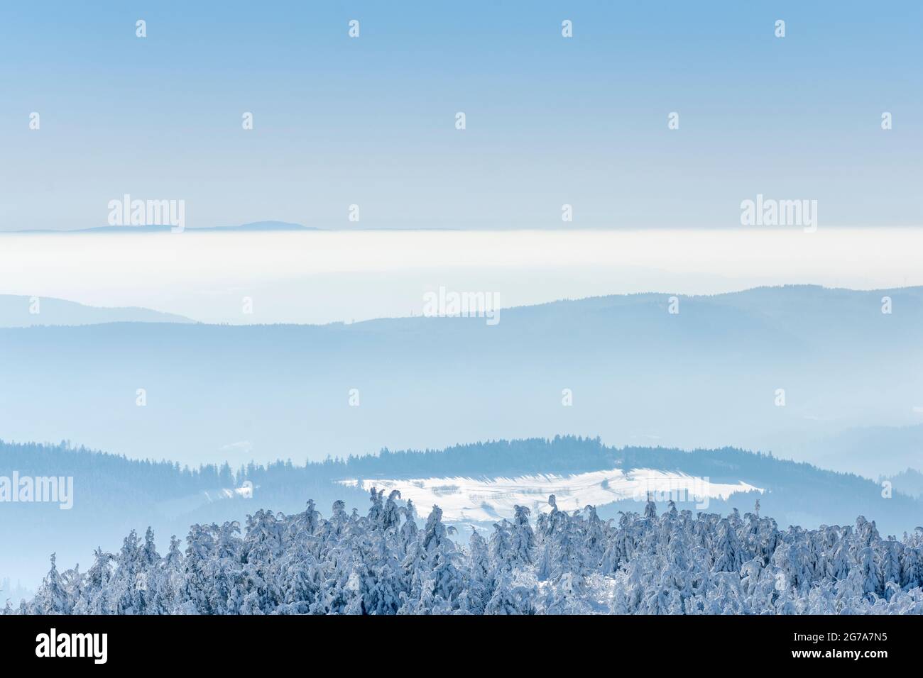 Germania, Baden-Wuerttemberg, Foresta Nera, Hornisgrinde, guardando a sud. Foto Stock