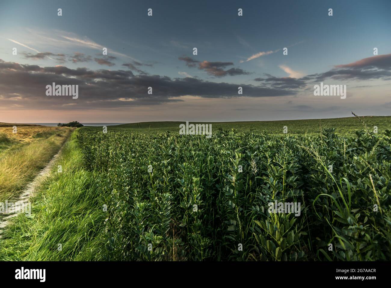 Paesaggio al tramonto con vista sul Mar Baltico, Dänischenhagen, Germania Foto Stock