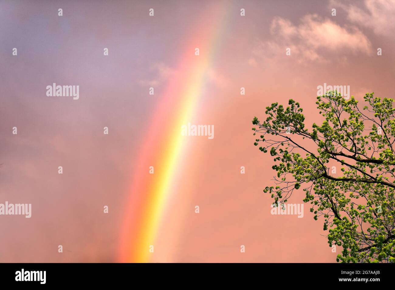 Arcobaleno al sole di sera Foto Stock