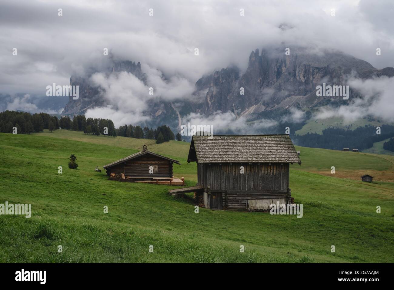 malga gostner alpe di siusi