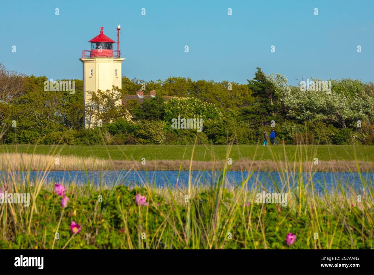 Schleswig-Holstein, isola di Fehmarn nel Mar Baltico. Westermarkeldorf. Vista sul paesaggio della diga presso la riserva naturale del rifugio Westermarkeldorfer e il Salzensee. Vecchio faro di Westermarkelsdorf dal 1881. Foto Stock