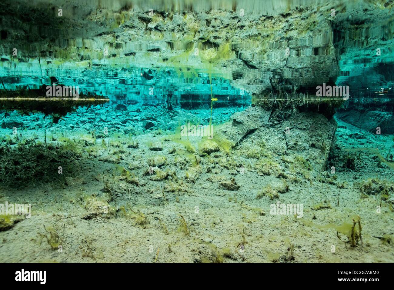 Prati e mondi acquatici nel Gasterental, Svizzera Foto Stock