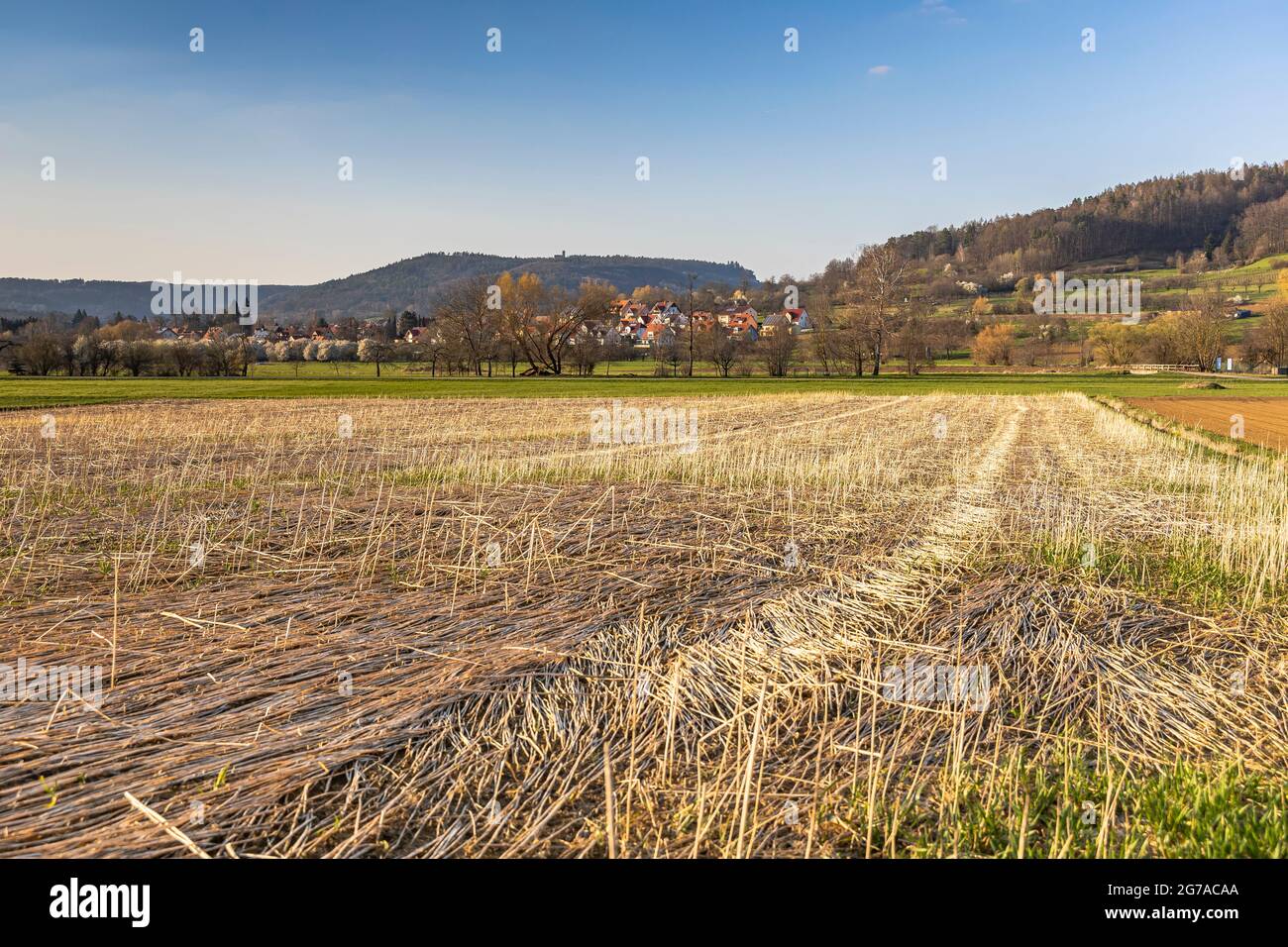 Vista sul paesaggio vicino Pretzfeld nel pomeriggio, alta Franconia, Baviera, Germania Foto Stock