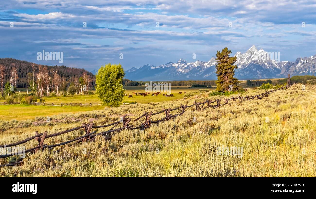 Ranch nel Wyoming, STATI UNITI D'AMERICA Foto Stock