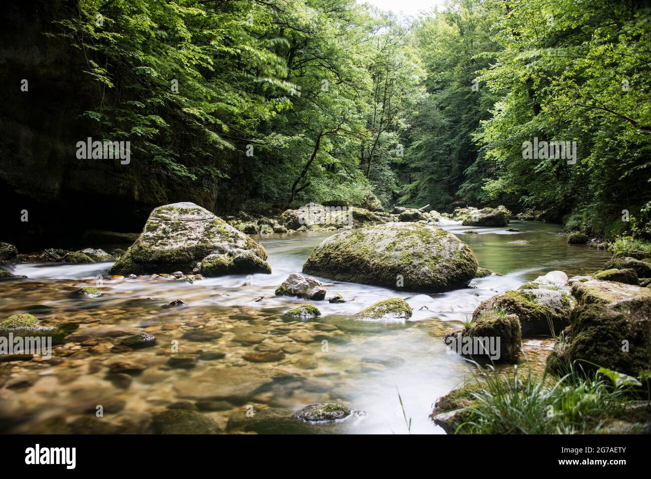 Corso d'acqua di Orbe nel Giura di Vaud Foto Stock