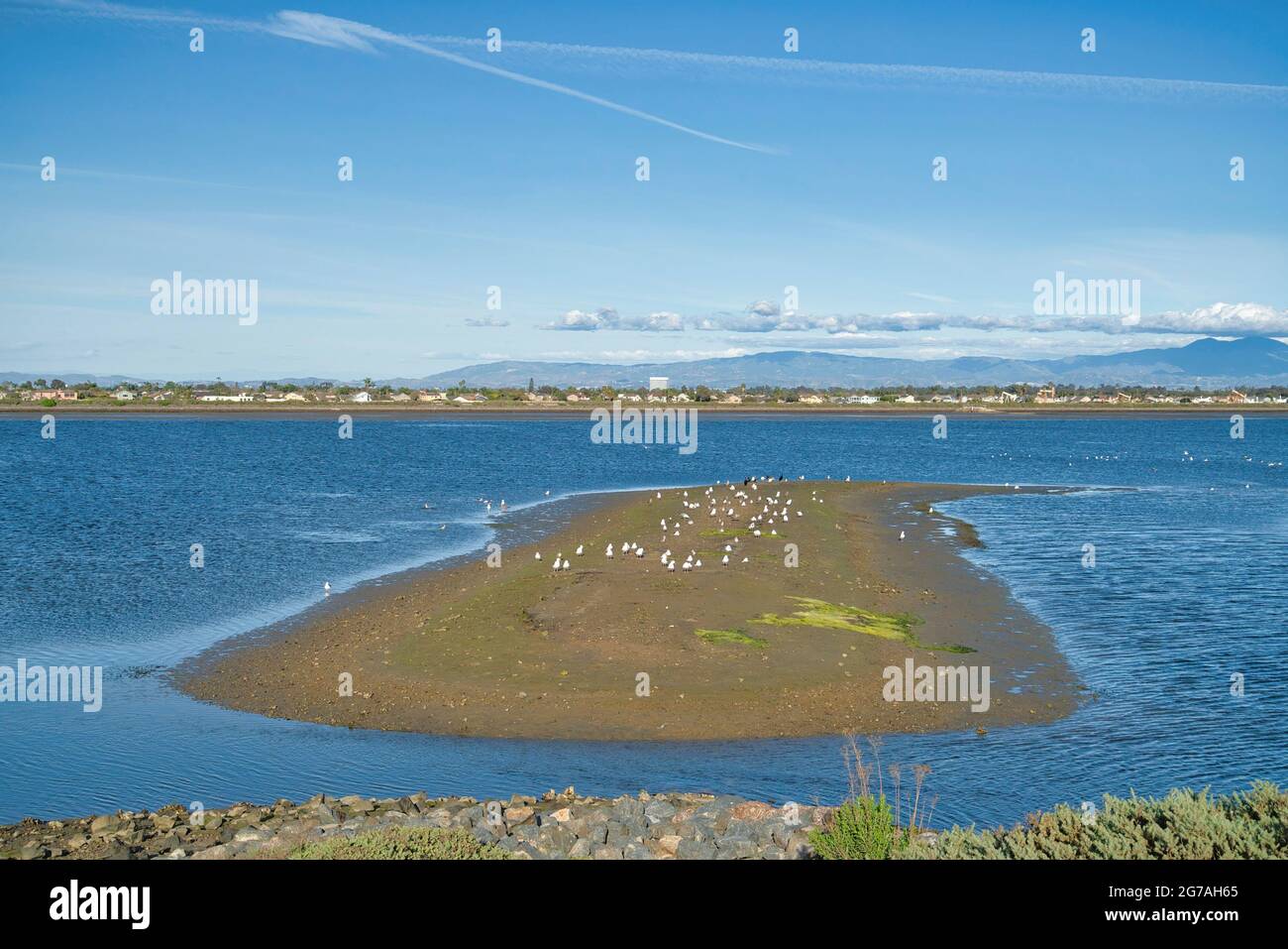 Riserva ecologica di Bolsa Chica con habitat di specie in via di estinzione Foto Stock