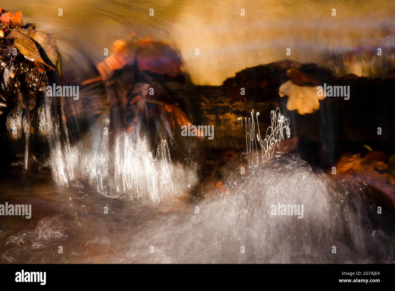 Riflessi giallo dorato in una piccola cascata con fogliame e rocce in un ruscello. Foto Stock