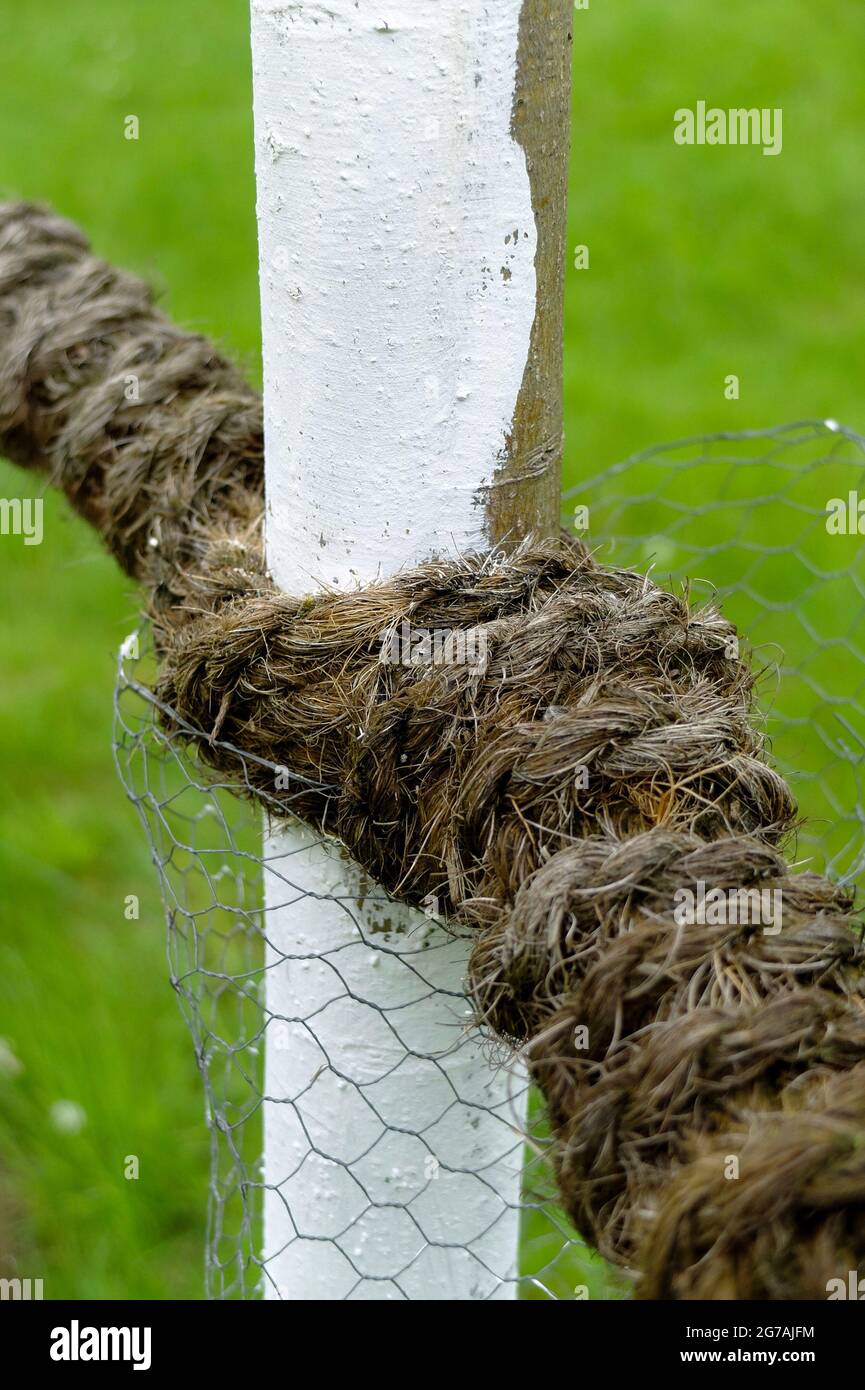 Protezione degli alberi per proteggere la corteccia dai danni causati da animali selvatici Foto Stock