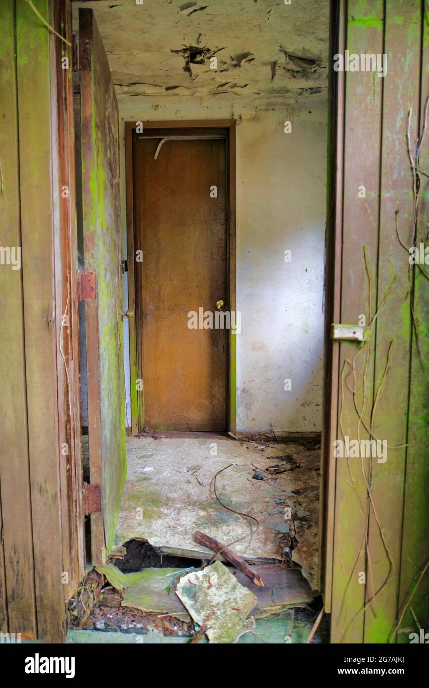 Interno sporco di una vecchia casa nello stato di Washinton con viti e peeling vernice Foto Stock