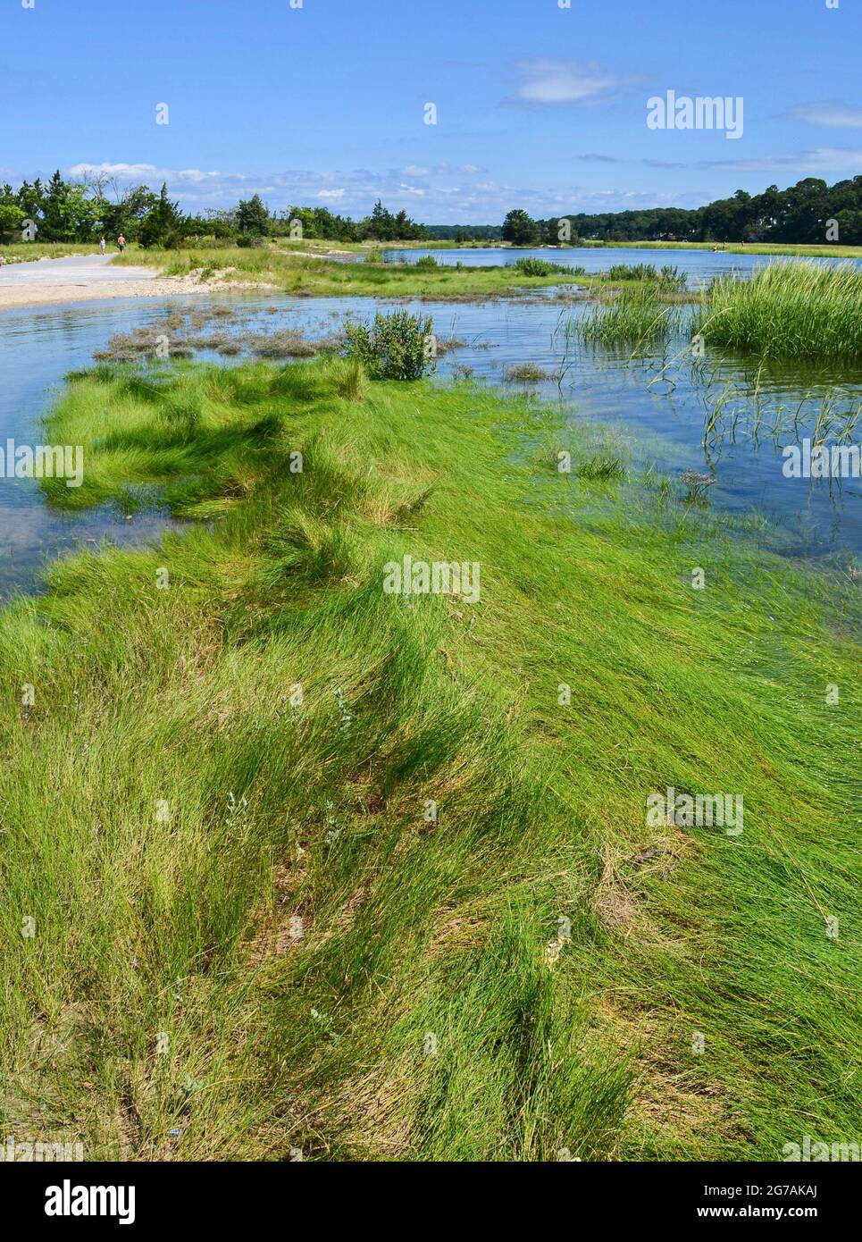 Una marea lunare inonda Stony Brook, New York, le alte paludi di una palude salata. Foto Stock