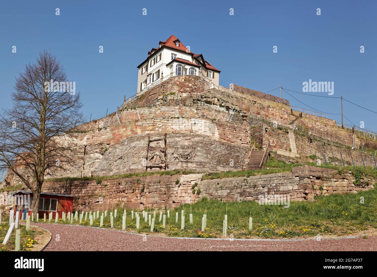 Libro di immagini e vigneti in pietra nella base dei fiori nel quartiere Naumburg di Großjena, Burgenlandkreis, Sassonia-Anhalt, Germania Foto Stock