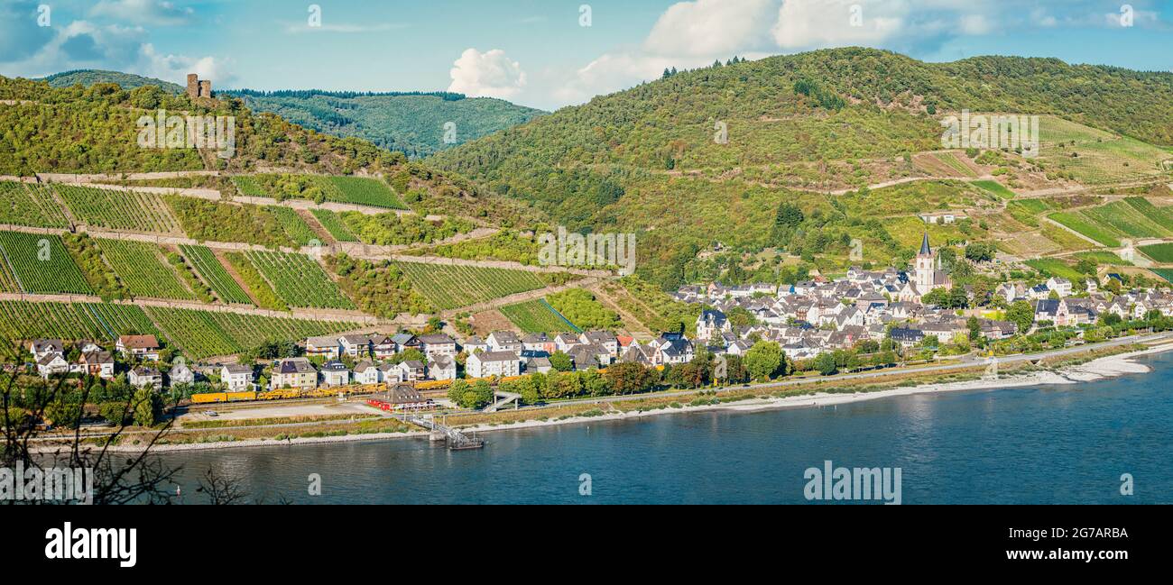 "Valle del Medio Reno superiore, patrimonio mondiale dell'UNESCO", Lorch, Medio Reno, Castello, Nollig, Patrimonio mondiale, Foto Stock