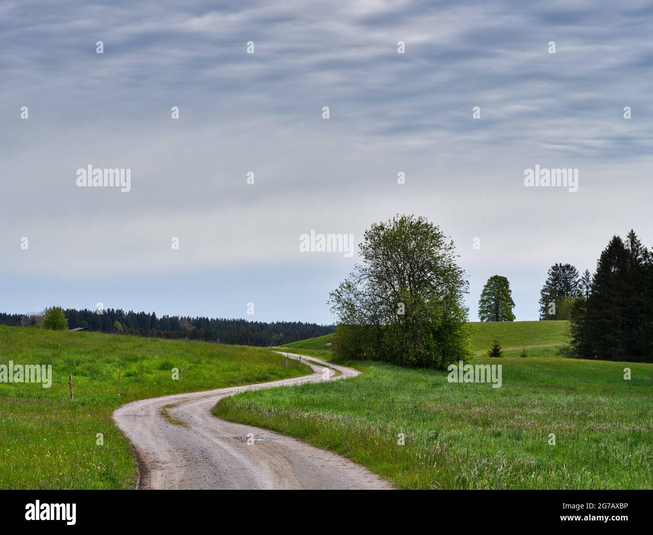 Prateria, pascolo, foresta, foresta, agricoltura, area agricola, corsia di campo, percorso forestale, albero, gruppo di alberi, Paesaggio collinare, paesaggio morenico, giovane terra morena, curva del fiume, bavarese Pfaffenwinkel, atmosfera, calma Foto Stock