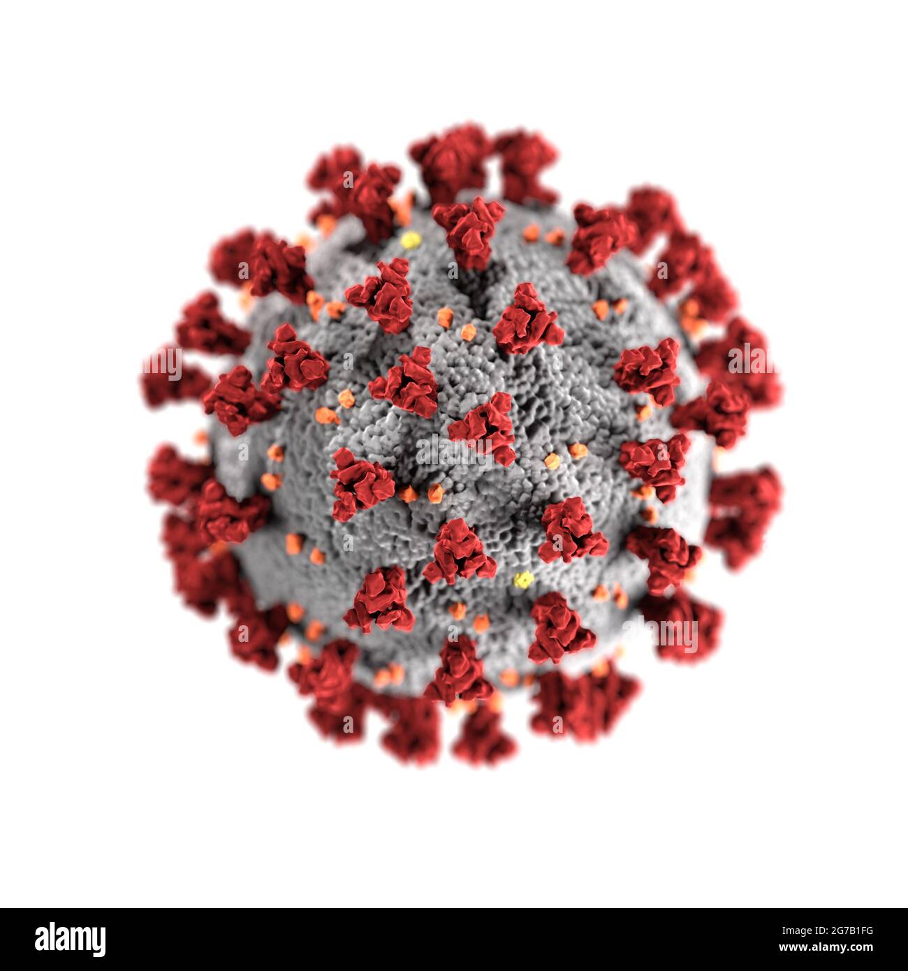 Questa illustrazione, creata presso i Centri statunitensi per il controllo e la prevenzione delle malattie (CDC), rivela la morfologia ultrastrutturale esposta dai coronavirus. Un nuovo coronavirus, chiamato sindrome respiratoria acuta grave coronavirus 2 (SARS-COV-2), è stato identificato come la causa di un focolaio di malattia respiratoria scoperta per la prima volta a Wuhan, in Cina nel 2019. La malattia causata da questo virus è stata chiamata malattia del coronavirus 2019 (COVID-19). Una versione ottimizzata e migliorata di un'immagine prodotta dagli US Centers for Disease Control and Prevention / Credit: CDC Foto Stock