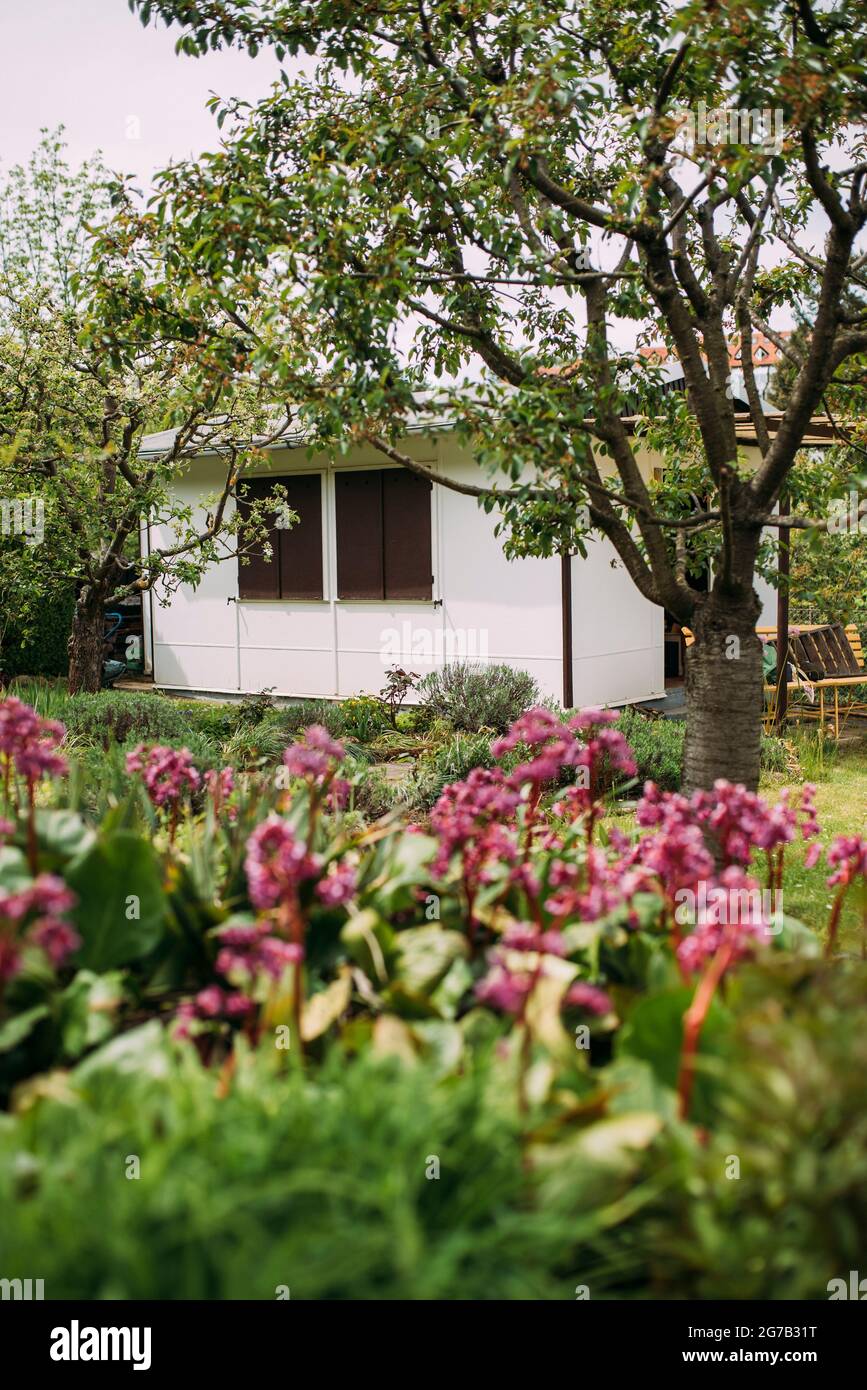 Gazebo si trova in un giardino fiorito di primavera Foto stock - Alamy
