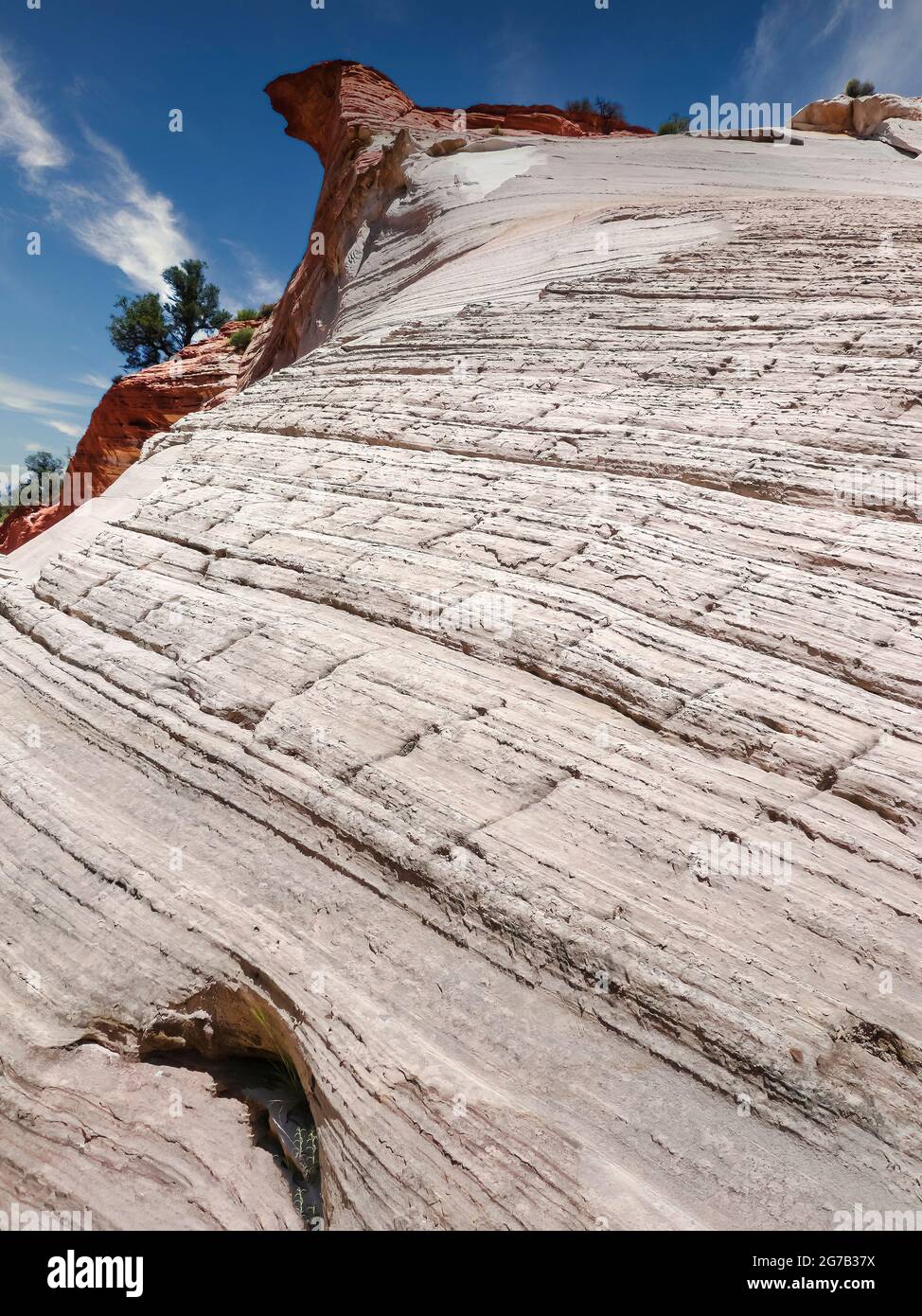 Navajo Sandstone, Kanab Canyon, Utah, Stati Uniti, Foto Stock
