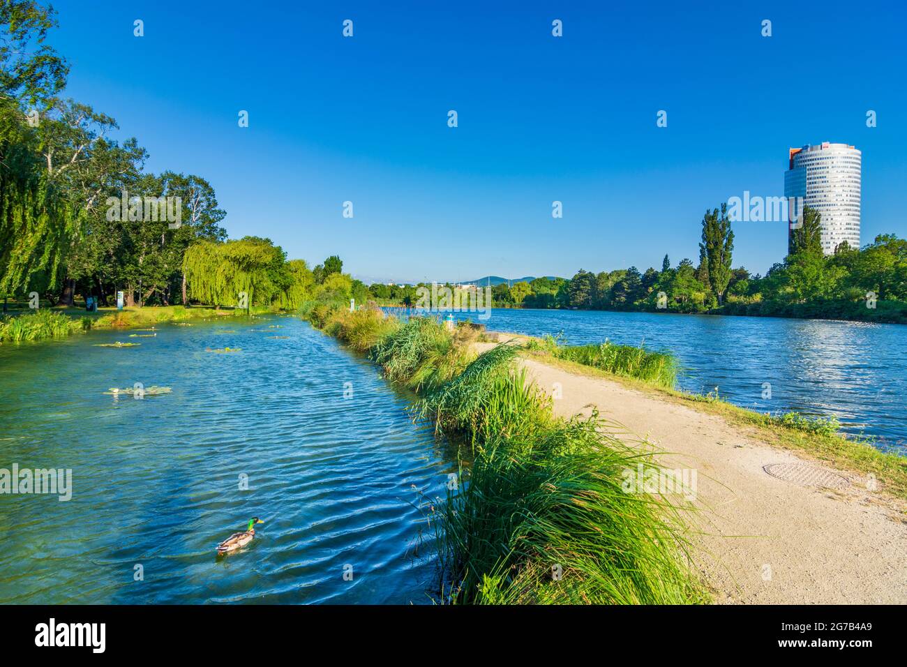 Vienna, parco Wasserpark, laghetto di Biologischer Bodenfilter Alte Donau (filtro biologico del suolo Vecchio Danubio), ufficio edificio Florido Torre nel 21. Floridsdorf, Vienna, Austria Foto Stock