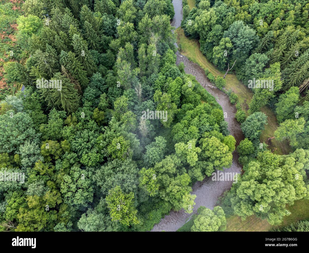 Vista aerea di un fiume con alberi Foto Stock