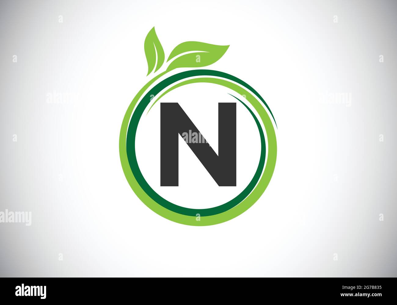Lettera iniziale con N monogramma in una spirale con foglie verdi. Fregio del carattere. Simbolo dell'icona della natura. Illustrazione Vettoriale