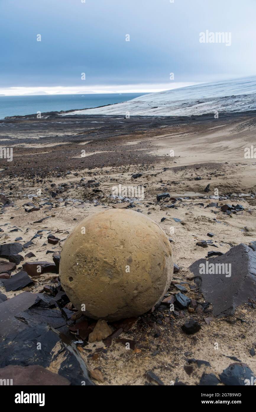 Sfera di pietra gigante, isola di Champ, arcipelago di Franz Josef Land, Russia Foto Stock