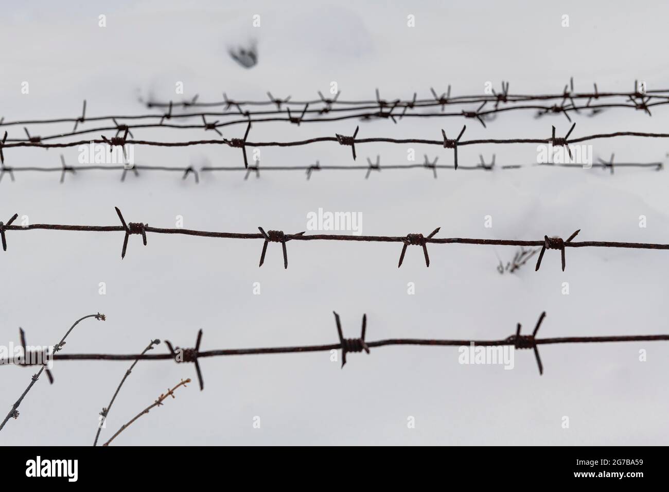 Ex Gulag lungo la strada delle ossa, Sakha Repubblica, Yakutia, Russia Foto Stock