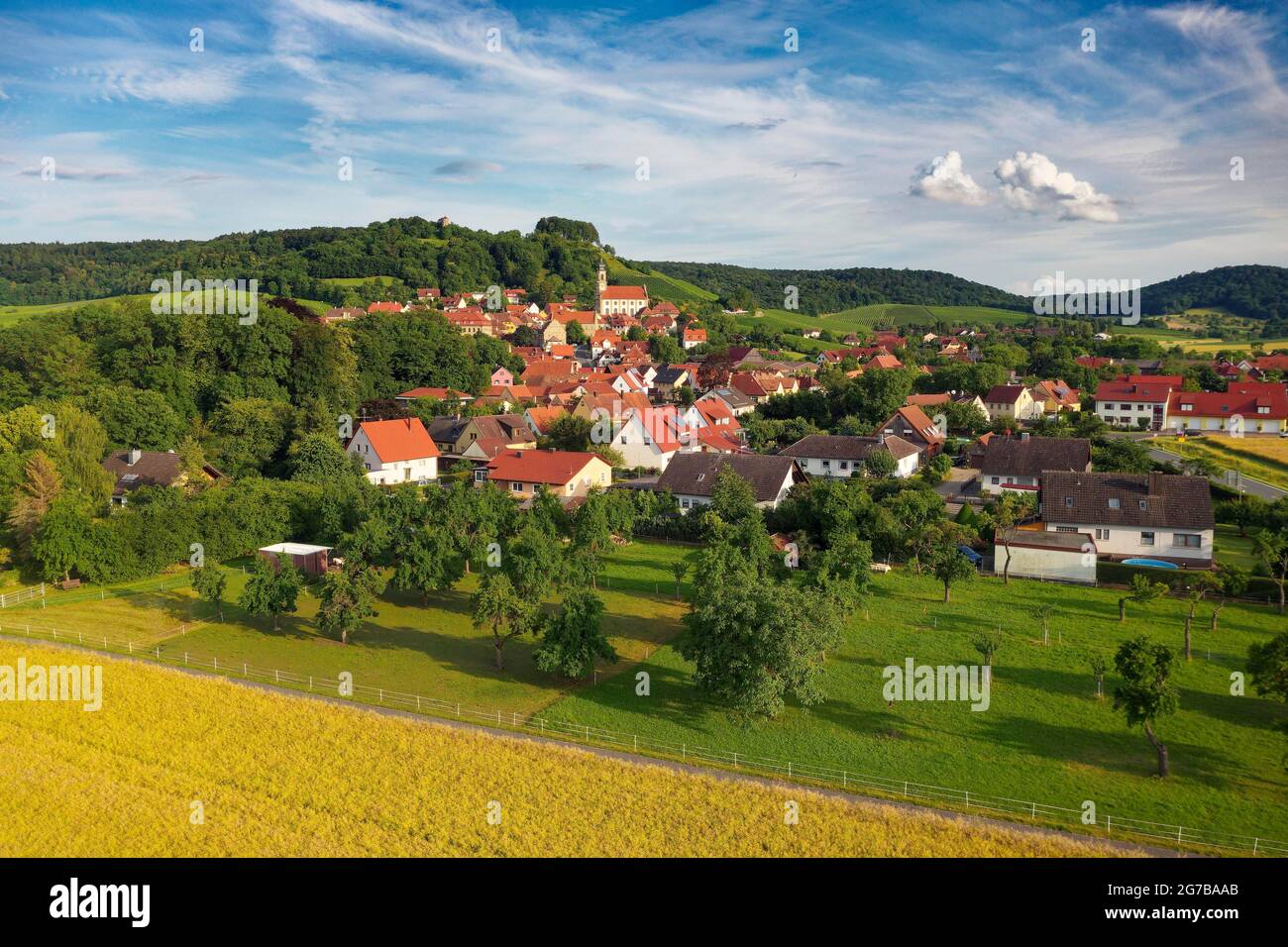 Villaggio del vino Castell, vicino a Wiesentheid, Steigerwald, bassa Franconia, Franconia, Baviera, Germania Foto Stock