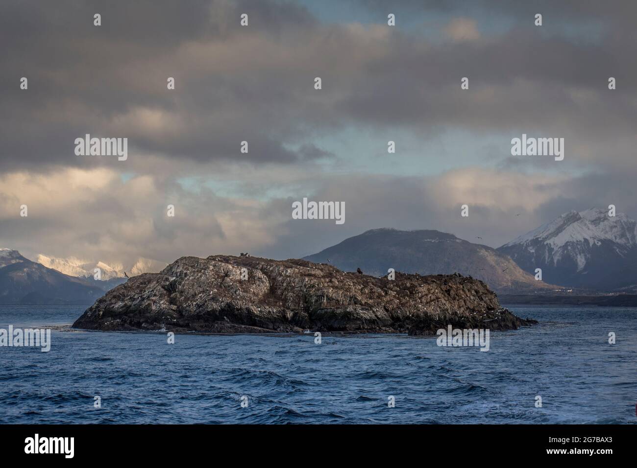 Foto centrata di una piccola isola desertica con animali marini tra cui cormorani, lupi marini e foche e montagne innevate sullo sfondo Foto Stock