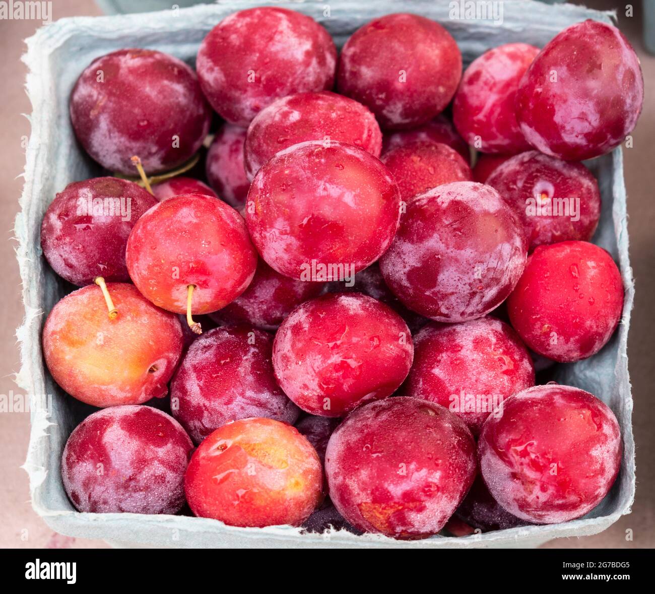 Cartone riempito di frutta di pietra, prugne di ciliegia. Foto Stock