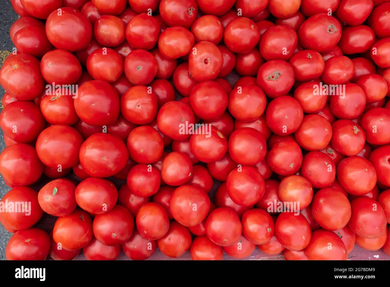 Pomodori maturi rossi in un palo piano per la vendita al mercato di un agricoltore. Foto Stock