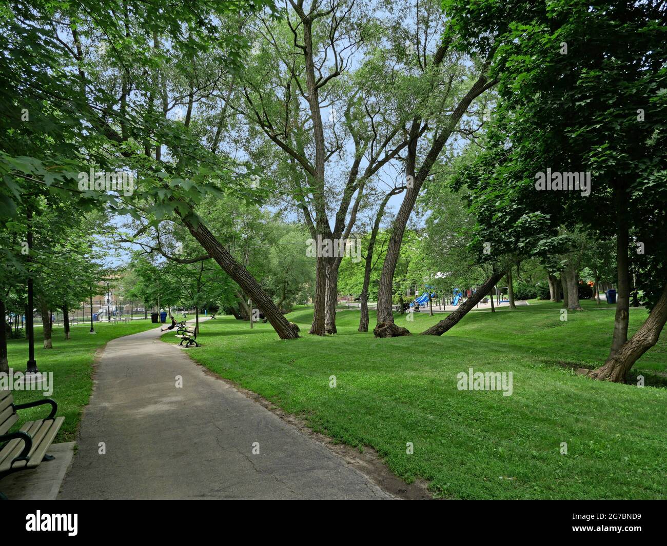 Parco locale di quartiere in un'area urbana con erba, alberi ombra e panchine intorno a un percorso Foto Stock