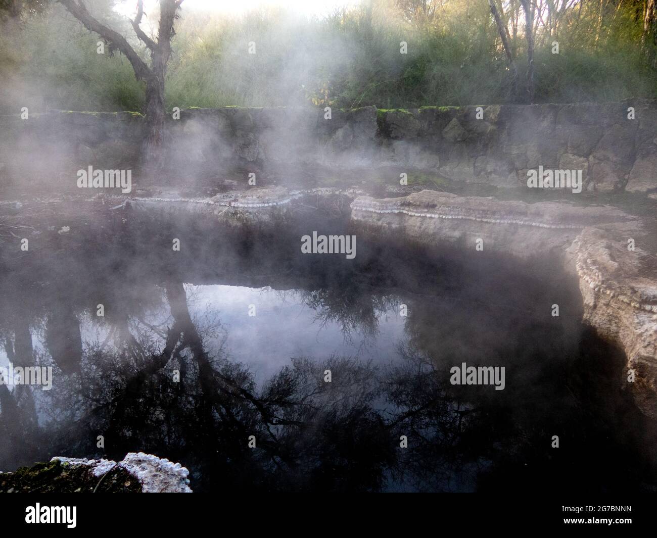 Le piscine minerali geotermiche fumanti, recintate per la sicurezza, sono un'attrazione turistica a Kuirau Park, Rotorua, Nuova Zelanda Foto Stock