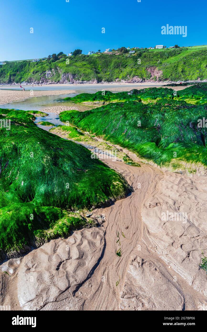 Scogliere e rocce presso la spiaggia di Bantham, Kingsbridge, Devon, Inghilterra Foto Stock