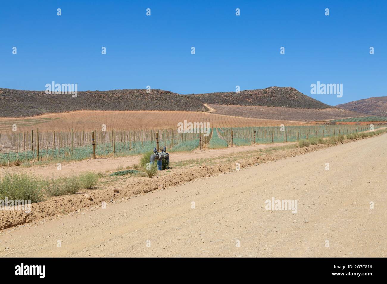 Landsacpe nel Cederberg con alcune viti, Capo Occidentale del Sud Africa Foto Stock