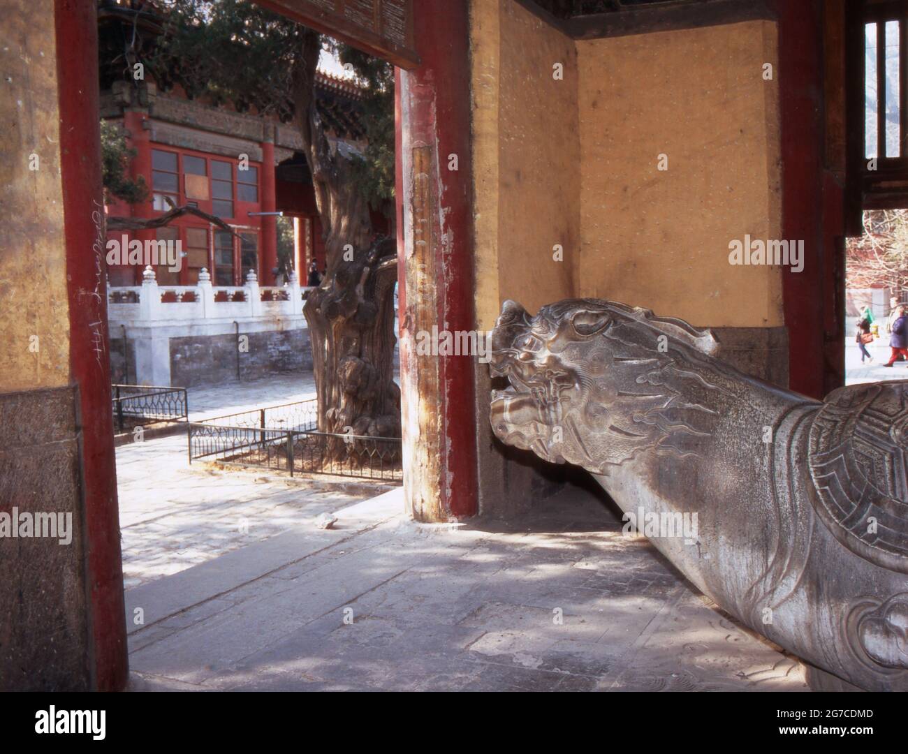 Statua einer Schildkröte, auf die Straße schauend, a Pechino, Cina 1998. Stato Tartaruga guardando in strada a Pechino, Cina 1998. Foto Stock
