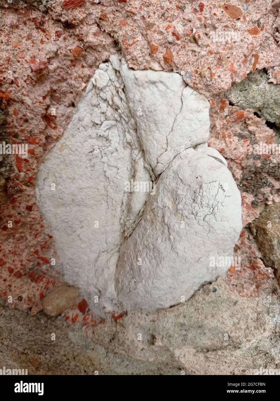 Materiale. Trama Foto Stock