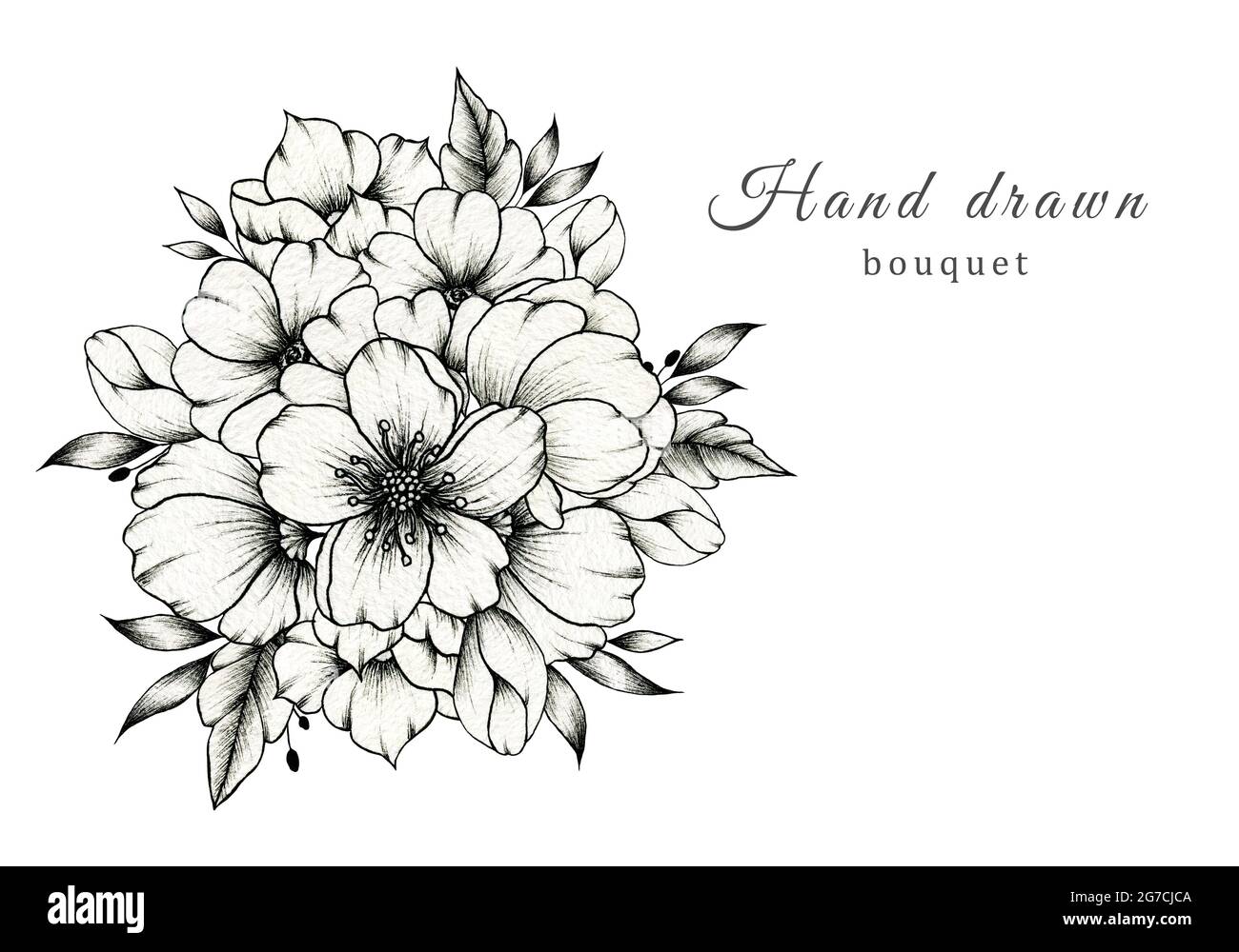 Elegante bouquet di nozze bianco e nero isolato su bianco, composizione fiore primavera, bella illustrazione botanica e inchiostro nero disegno floreale Foto Stock