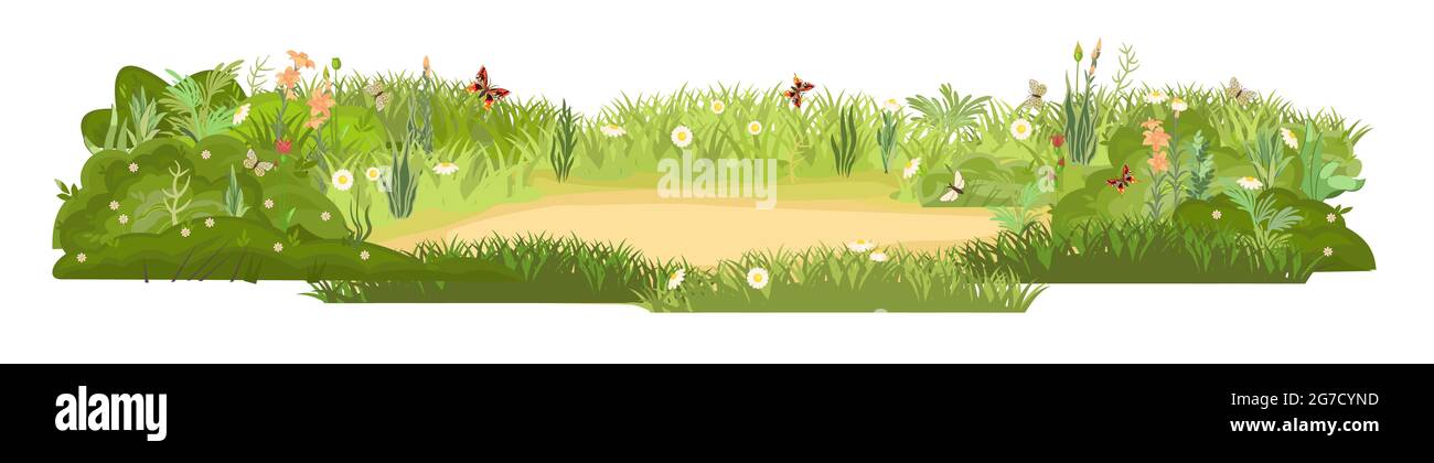 Denso prato estivo con fiori. Farfalle. Erba erba verde addensi. Area erba. Parco giochi. Luogo. Bellissimo paesaggio. Isolato su bianco Illustrazione Vettoriale