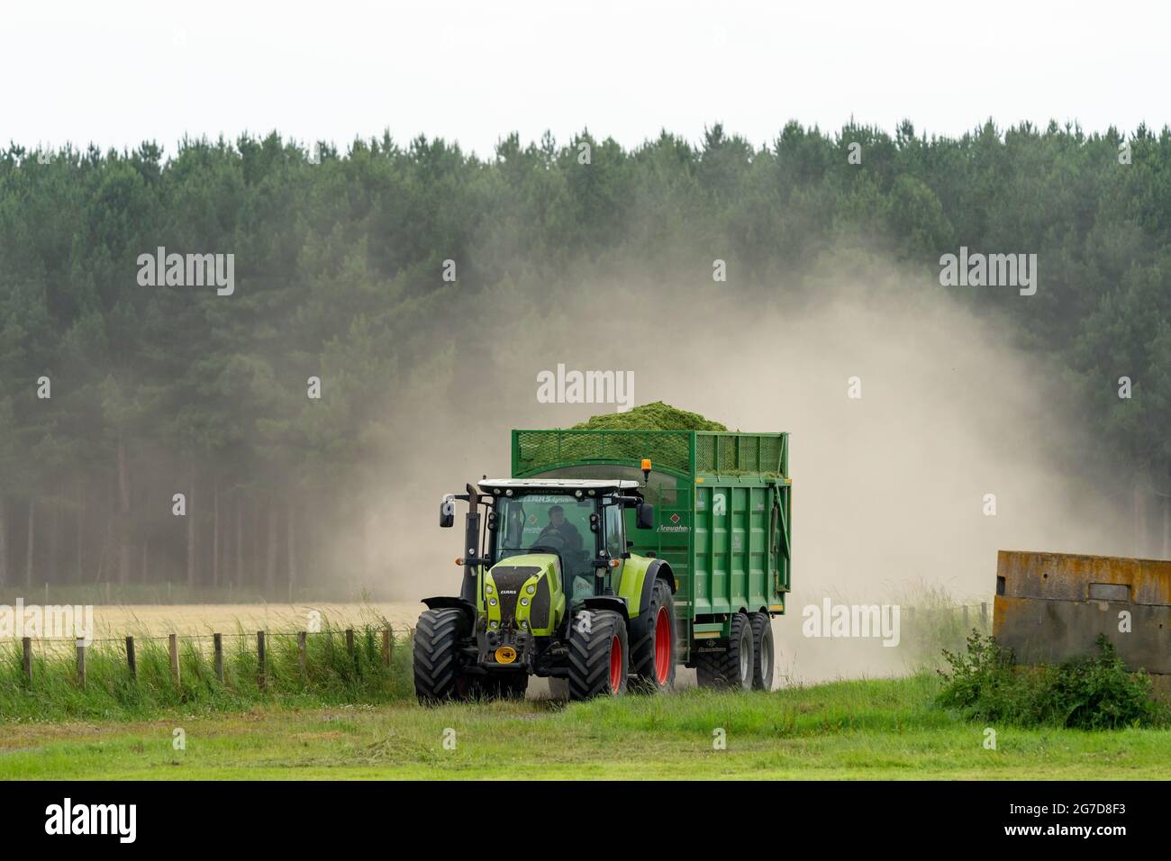 11 luglio 2021. Roseisle, Moray, Scozia, Regno Unito. Si tratta di un agricoltore e di personale impegnato a tagliare insilato per l'alimentazione invernale per il bestiame. Foto Stock