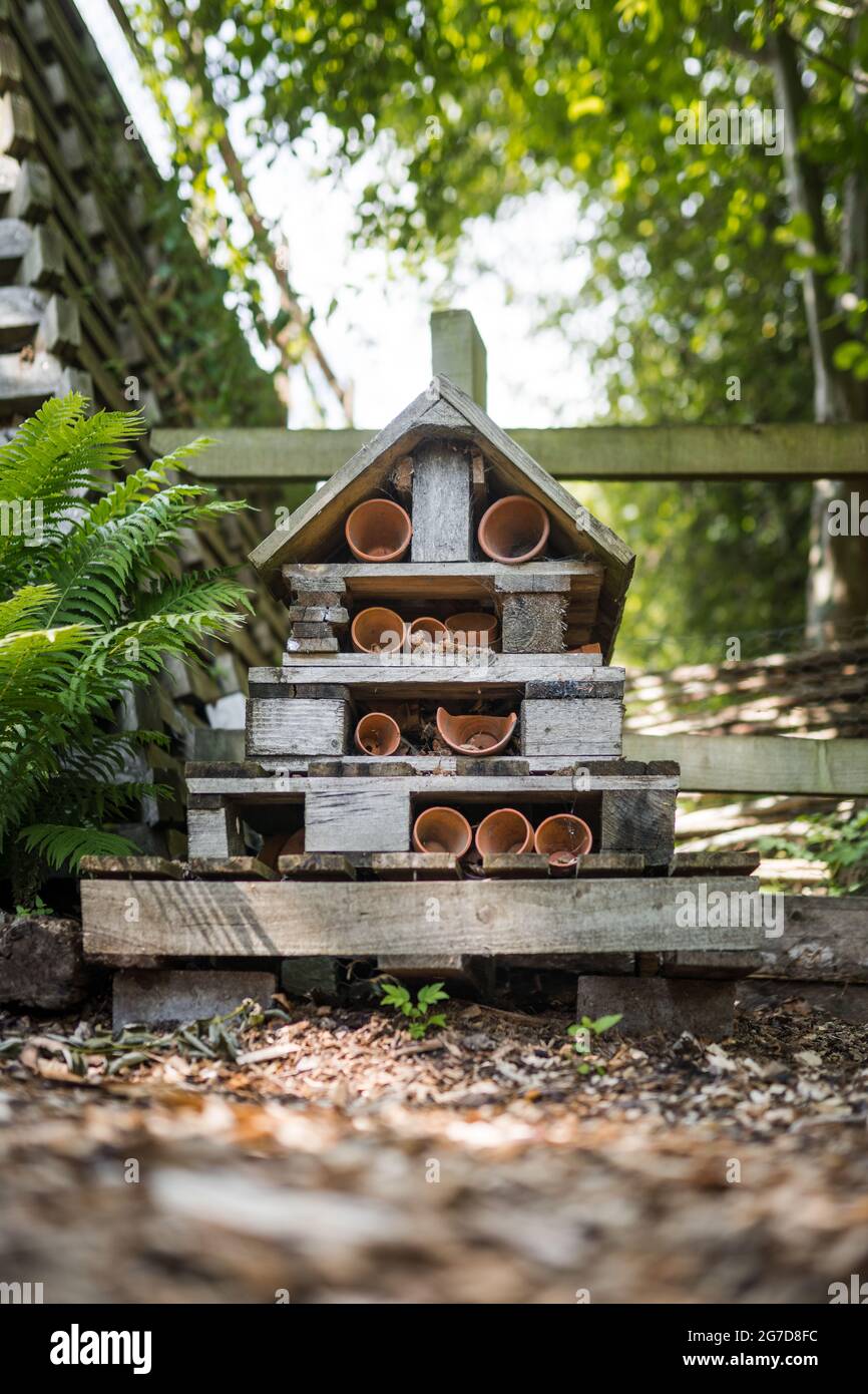 Casa fatto selvaggio bug casa in legno per insetti e conservazione ecologica. Piantare pentole, tronchi e foglie creando bug hotel estate bosco ambiente. Foto Stock